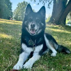 b433e385-8fba-11f0-9758-9600009a252d